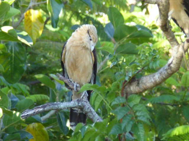Besuch aus Deutschland und ihre Bilder