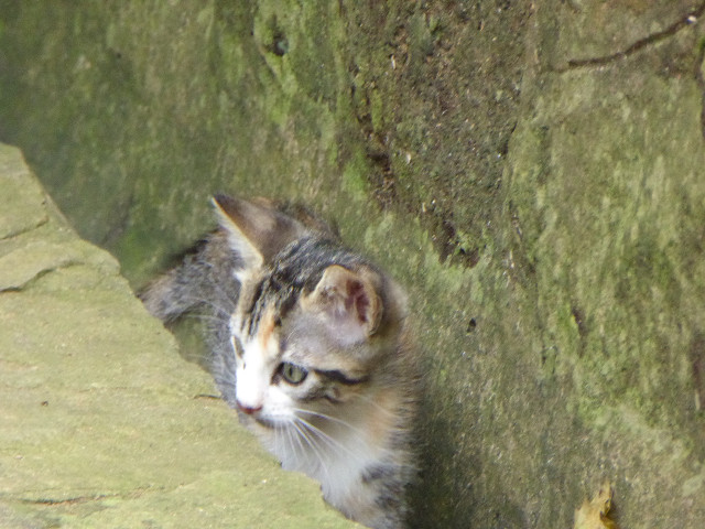 Besuch aus Deutschland und ihre Bilder