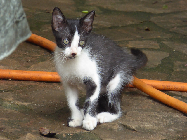 Besuch aus Deutschland und ihre Bilder