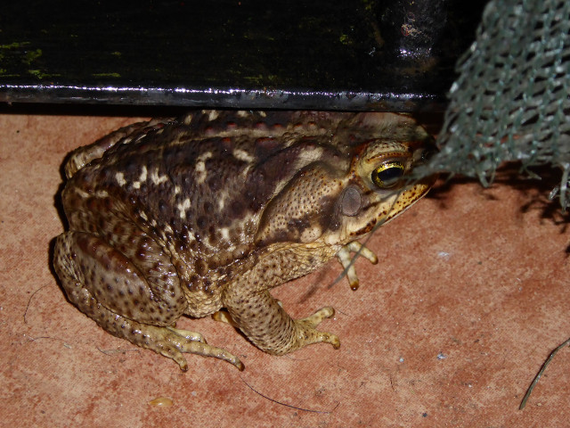 Besuch aus Deutschland und ihre Bilder