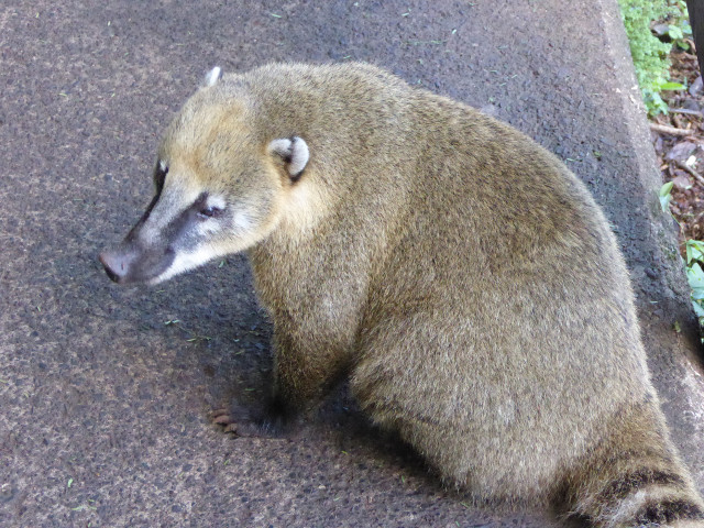 Besuch aus Deutschland und ihre Bilder