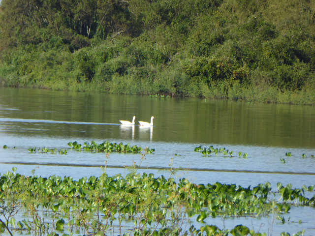 Besuch aus Deutschland und ihre Bilder