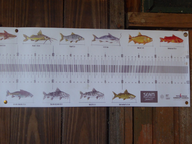 Besuch aus Deutschland und ihre Bilder