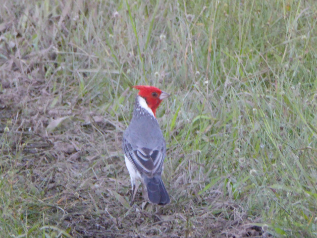 Besuch aus Deutschland und ihre Bilder