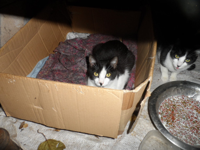 Bettwetter in Paraguay