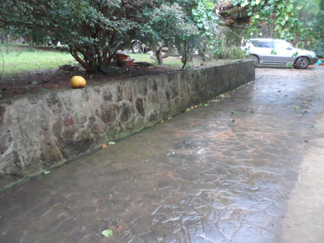 Bettwetter in Paraguay