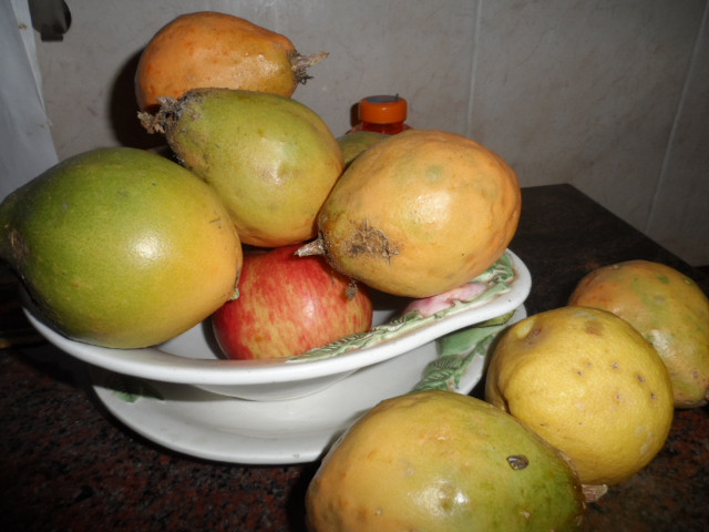 Bettwetter in Paraguay