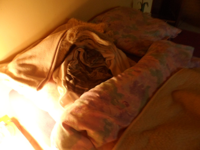 Bettwetter in Paraguay