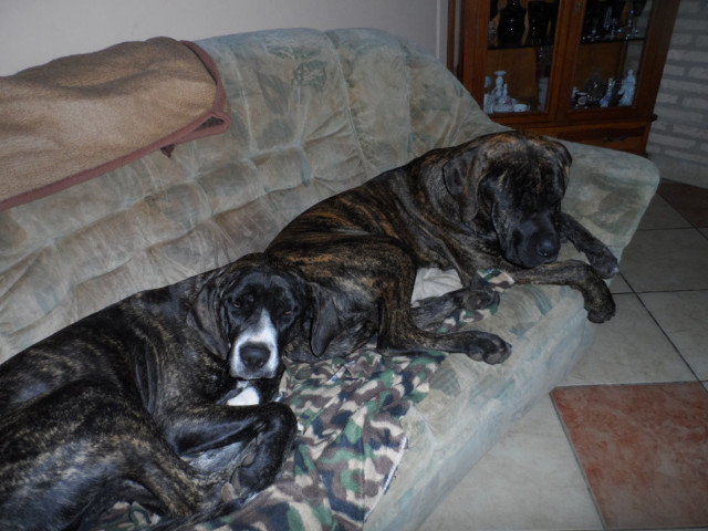 Bettwetter in Paraguay