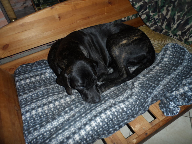 Bettwetter in Paraguay