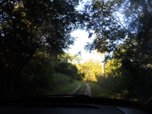 Geburtstag bei Christiane und Michael 1