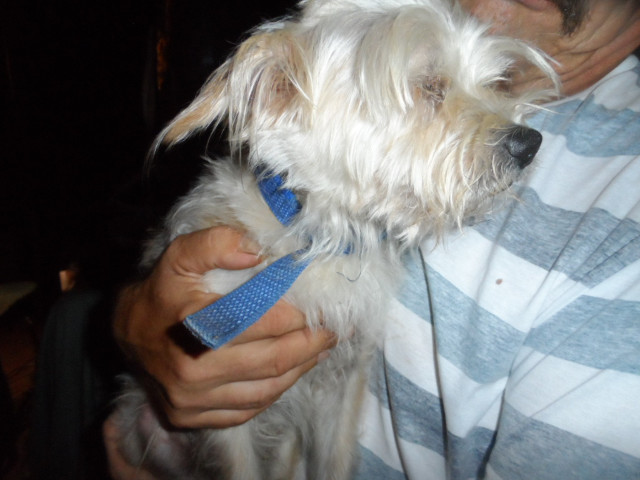 Geburtstag bei Christiane und Michael 66