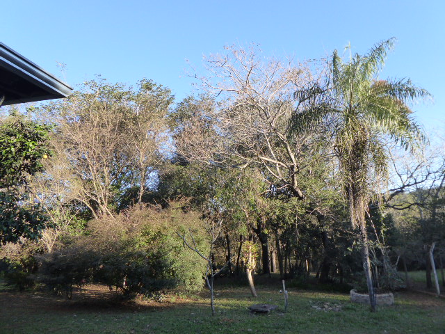 Winter in Paraguay 2019