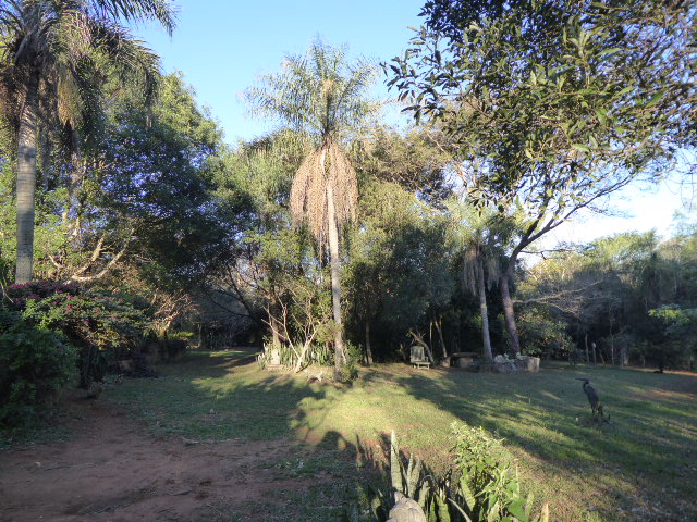 Winter in Paraguay 2019