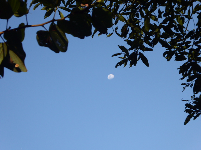 Winter in Paraguay 2019