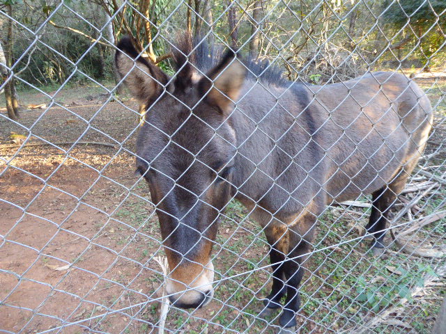 Winter in Paraguay 2019
