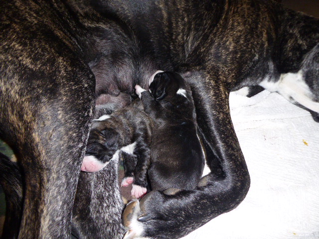 der nächste Schock vor drei Wochen