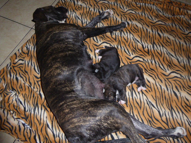 der nächste Schock vor drei Wochen