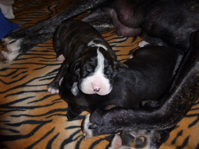 der nächste Schock vor drei Wochen