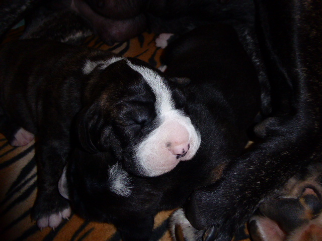 der nächste Schock vor drei Wochen