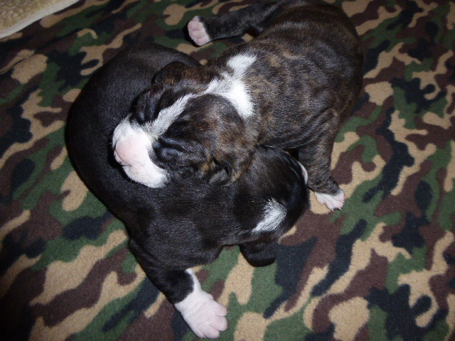 der nächste Schock vor drei Wochen