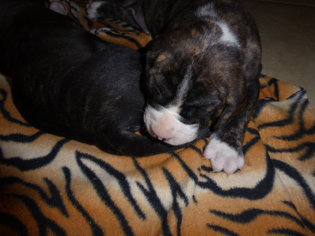 der nächste Schock vor drei Wochen