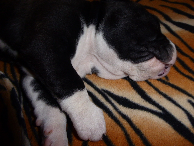 der nächste Schock vor drei Wochen