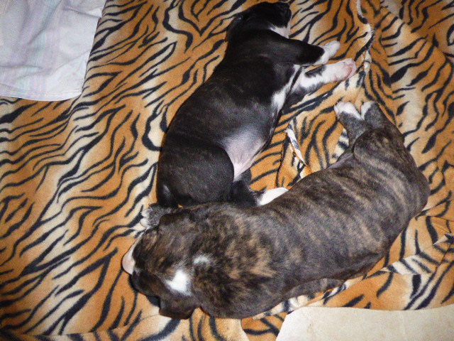 der nächste Schock vor drei Wochen