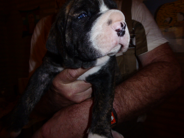 der nächste Schock vor drei Wochen