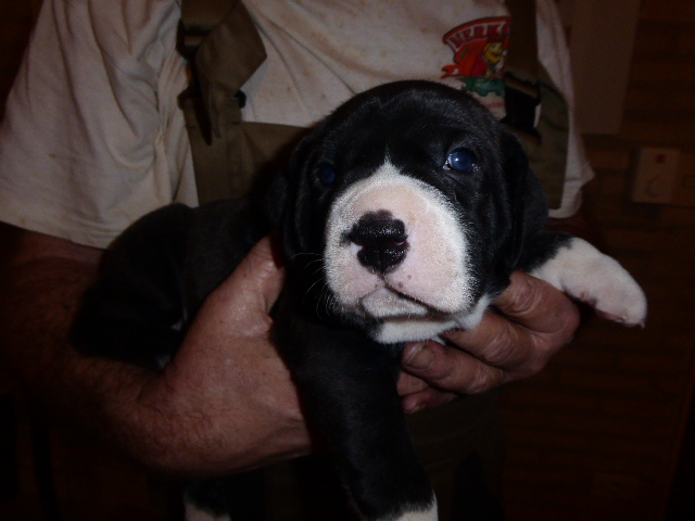 der nächste Schock vor drei Wochen