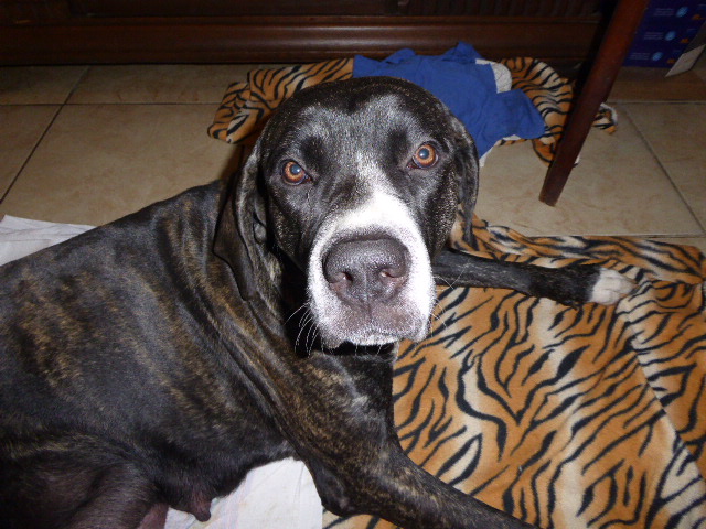 der nächste Schock vor drei Wochen