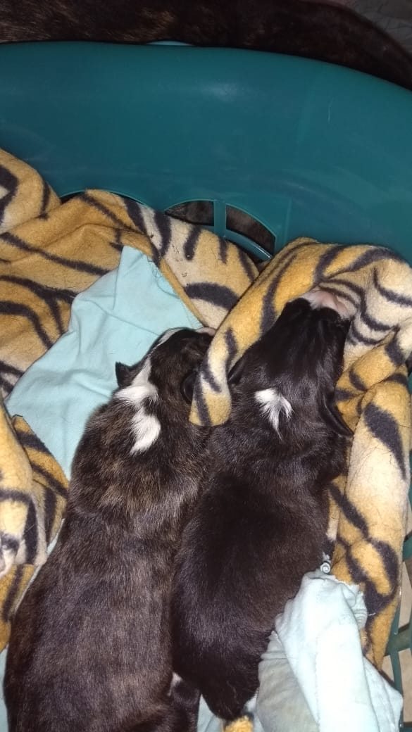 WhatsApp Image 2019-08-21 at 10.23.17