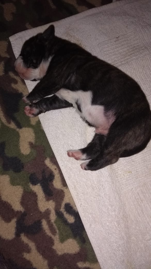 WhatsApp Image 2019-08-25 at 16.33.32