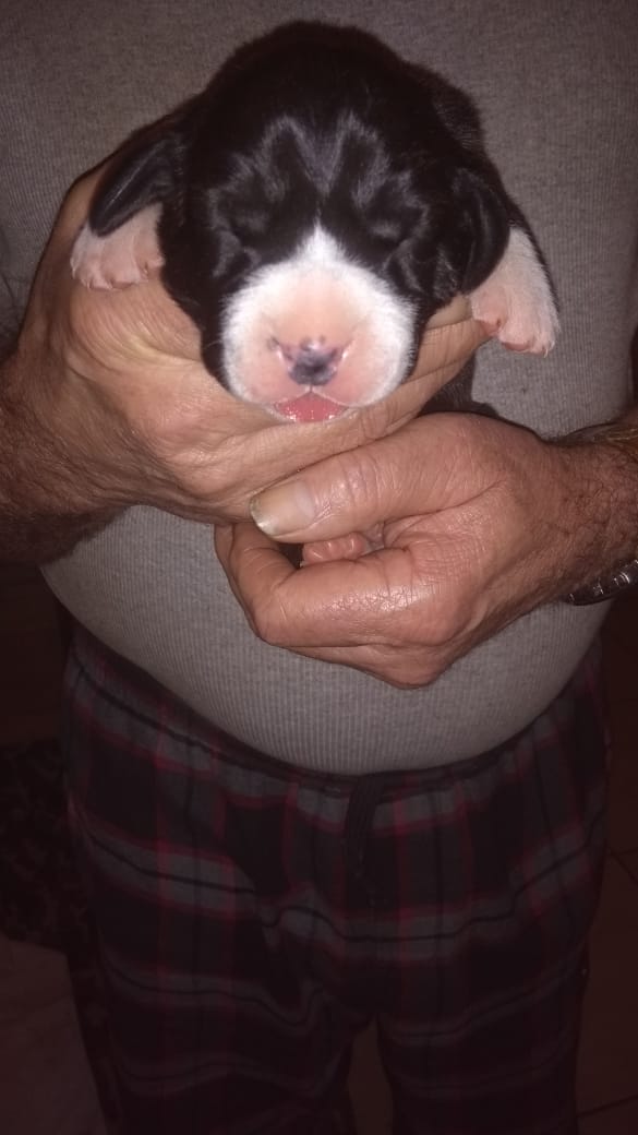 WhatsApp Image 2019-08-25 at 22.28.00