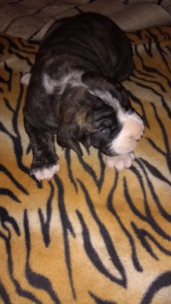 WhatsApp Image 2019-09-07 at 10.15.44