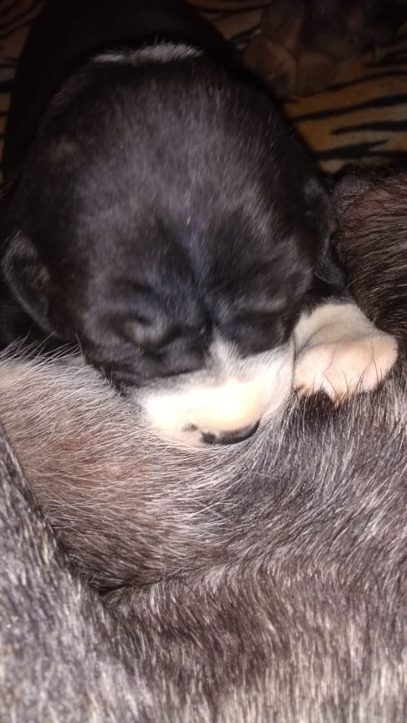 WhatsApp Image 2019-09-07 at 10.18.22