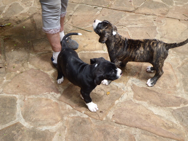 Frühling in Paraguay 2019