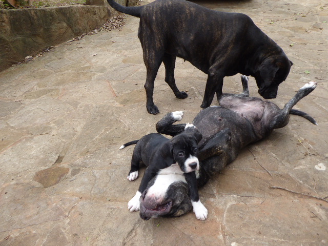 Frühling in Paraguay 2019