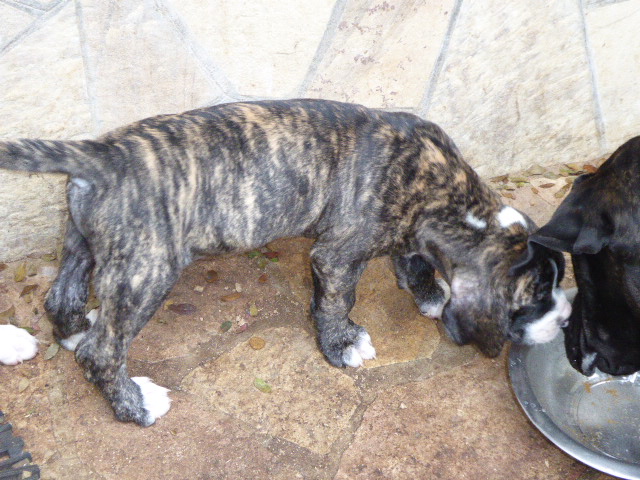 Frühling in Paraguay 2019