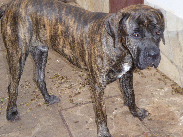 Frühling in Paraguay 2019