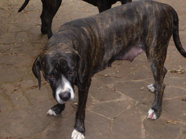 Frühling in Paraguay 2019