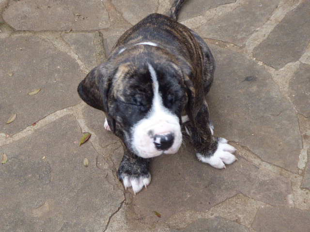 Frühling in Paraguay 2019