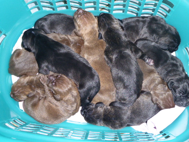 Bitte mal durchzählen