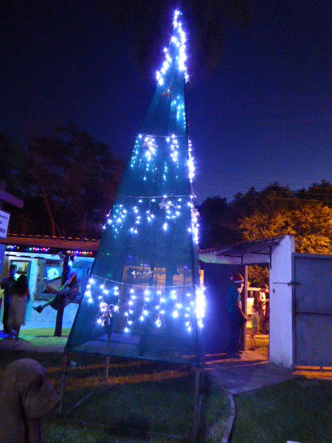 Weihnachten bei Rudi