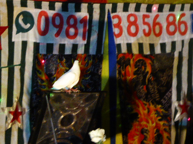 Weihnachten bei Rudi