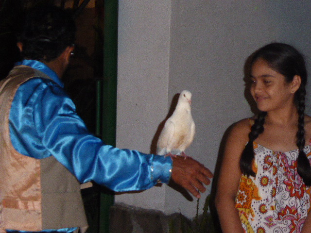 Weihnachten bei Rudi