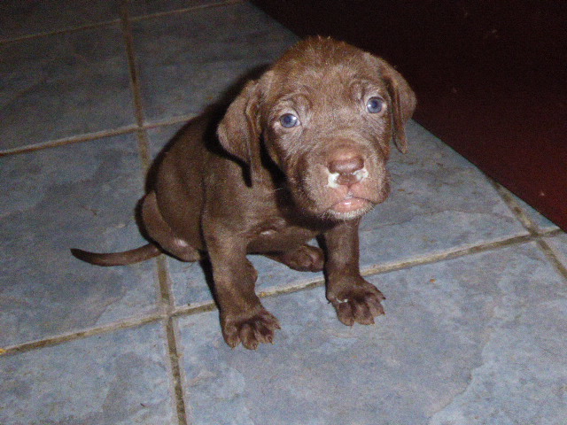 2019 ist in ein paar Stunden zu Ende