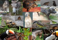 2012 und noch ein paar Stunden dann 2013