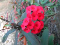 von 32 Grad runter auf 5 Grad