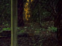 Regen, Regen und nochmals Regen